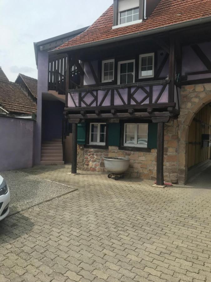 Gite Plain-Pied Avec Jardin Du Centre Alsace Ebersheim Exterior foto